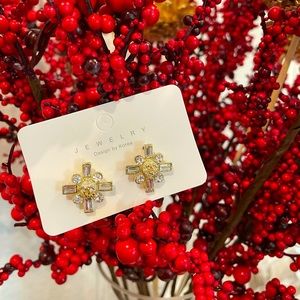 CC Crystal Earrings E11